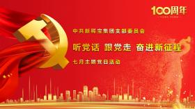 聽(tīng)黨話(huà) 跟黨走 奮進(jìn)新征程 ——記中共新稀寶集團(tuán)有限公司支部委員會(huì)七月主題黨日活動(dòng)