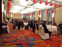 2015 積蓄力量，2016 大勝歸來